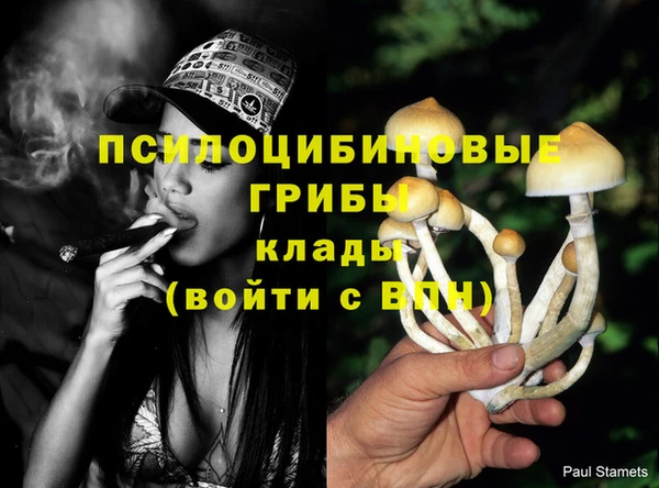 прущие крисы Алзамай