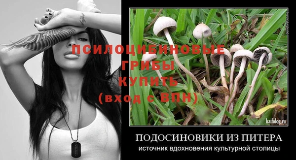 ECSTASY Абинск