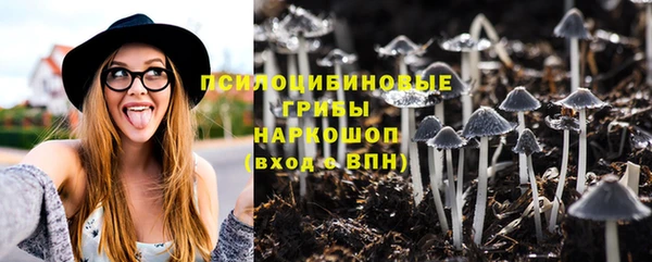 ECSTASY Абинск