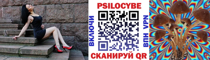 Псилоцибиновые грибы прущие грибы  даркнет наркотические препараты  Усть-Илимск 